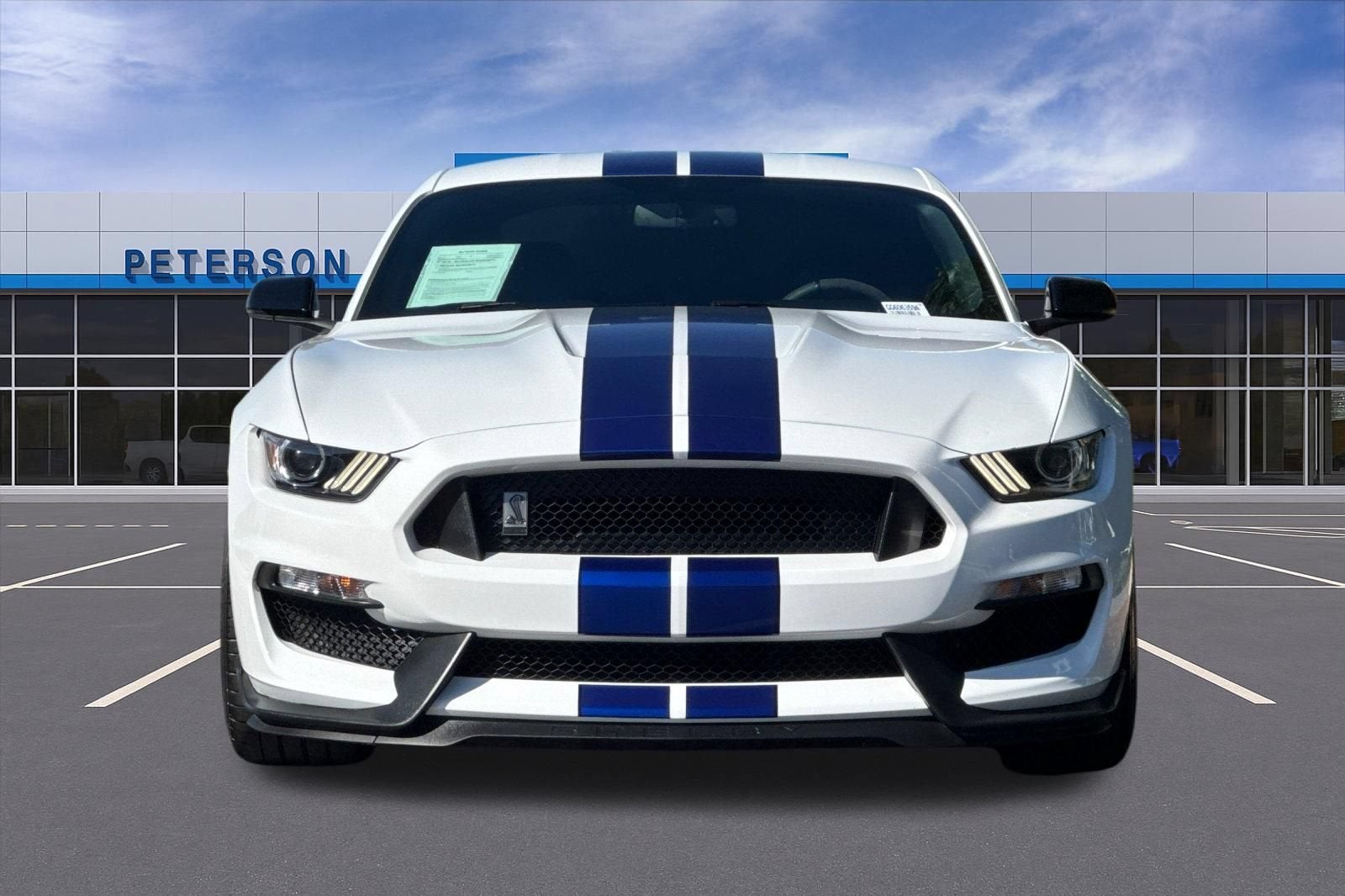 2016 Ford Shelby GT350 Shelby GT350